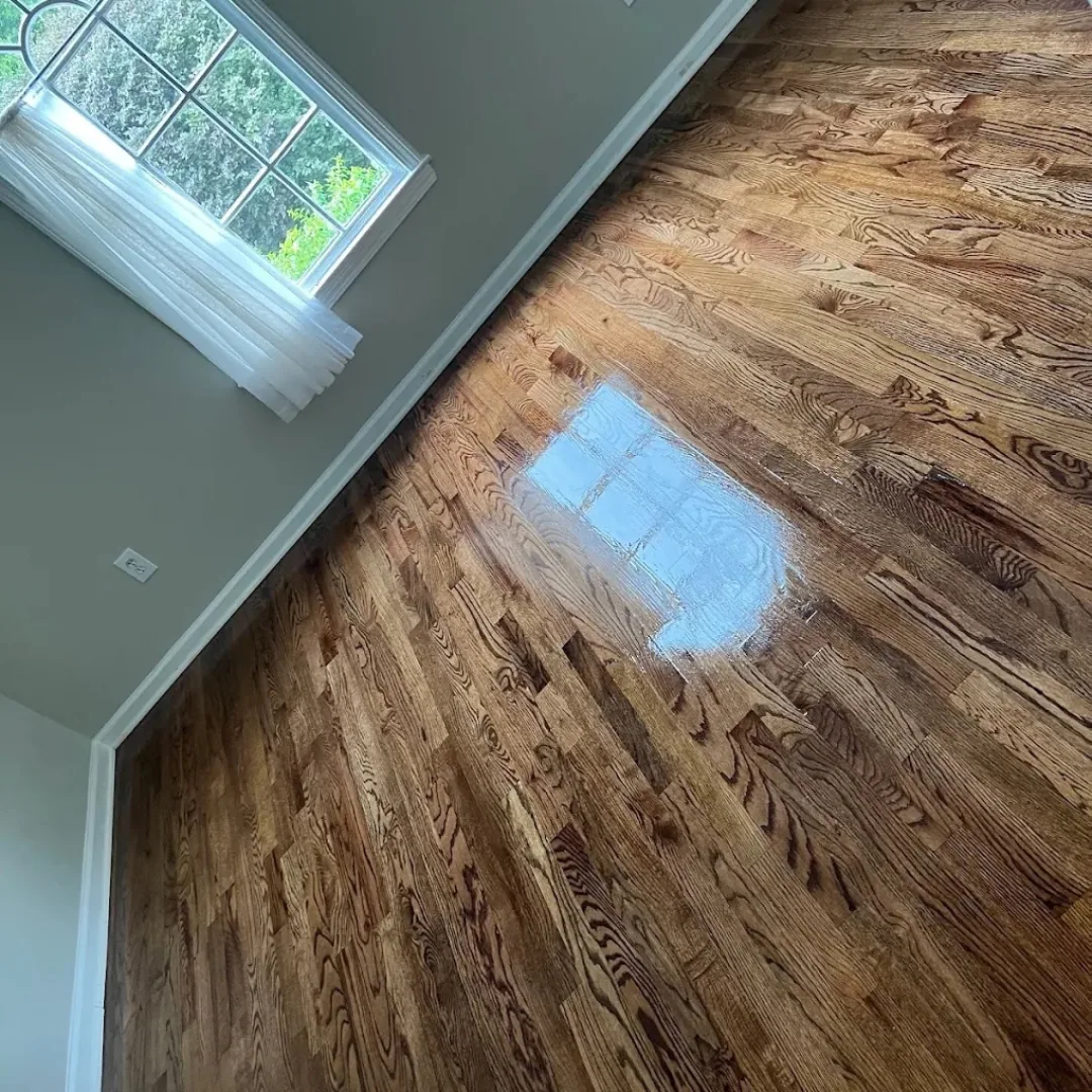 Newly refinished hardwood floor with window reflection